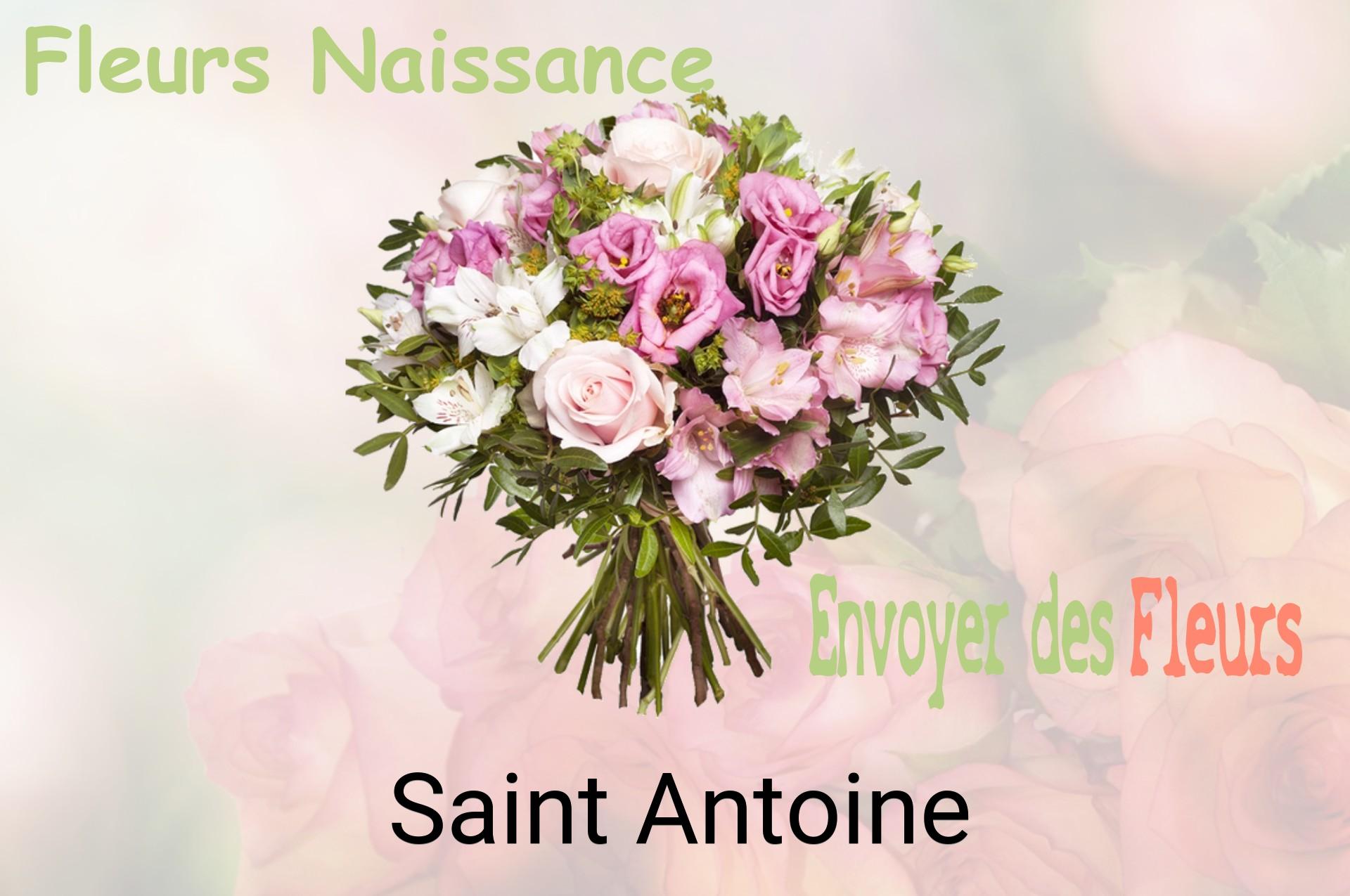 Bouquet de fleurs de naissance livré à Saint-Antoine