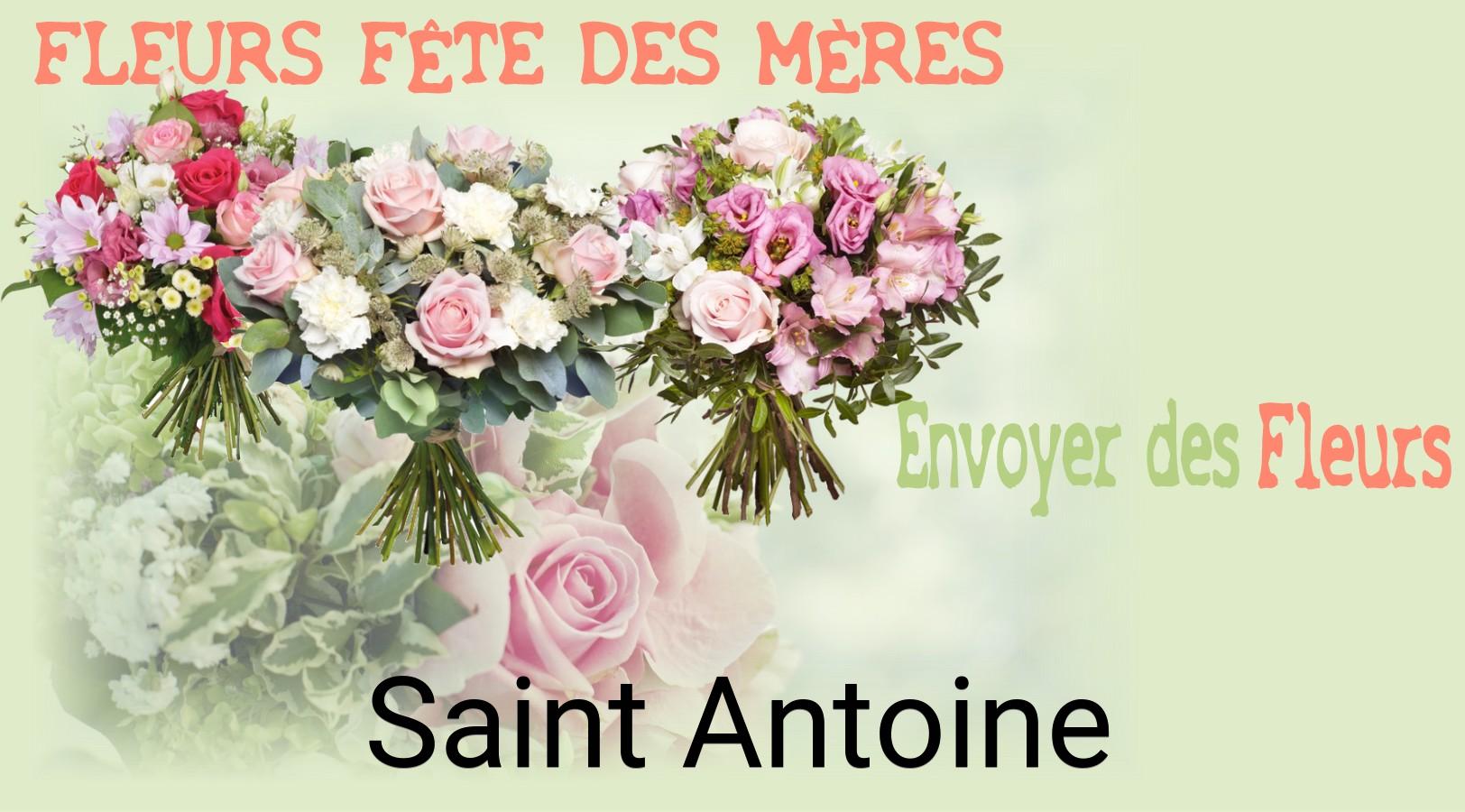 Bouquet de Fête des Mères livré à Saint-Antoine